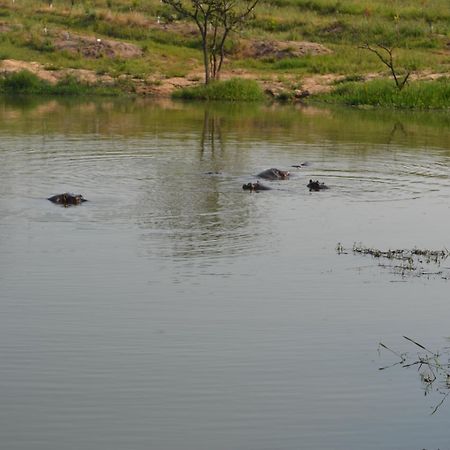 Kruger Park Lodge - Golf Safari Sa Hazyview Dış mekan fotoğraf