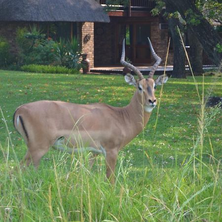Kruger Park Lodge - Golf Safari Sa Hazyview Dış mekan fotoğraf