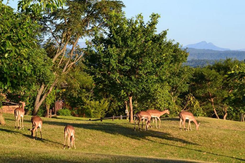 Kruger Park Lodge - Golf Safari Sa Hazyview Dış mekan fotoğraf