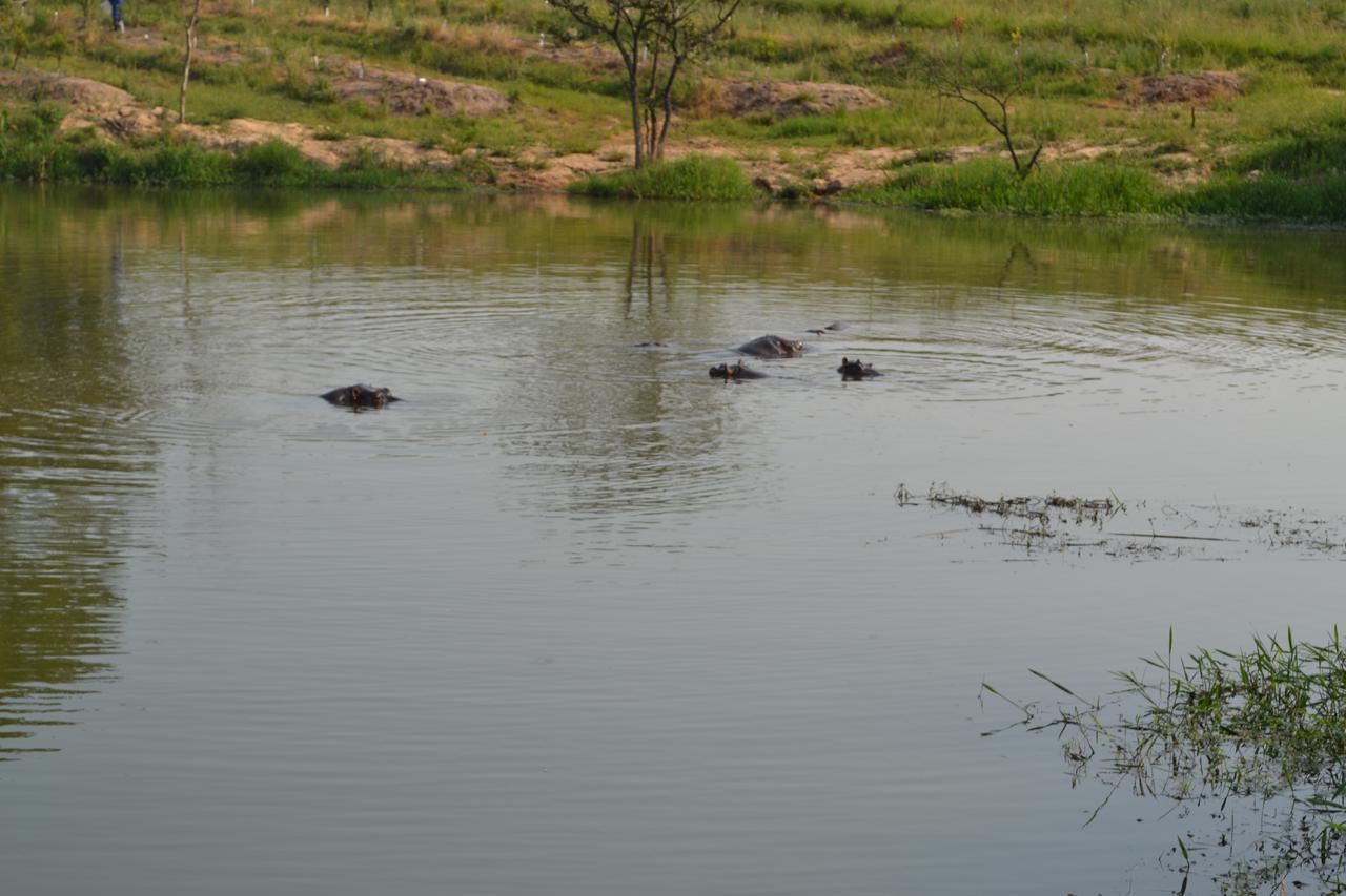 Kruger Park Lodge - Golf Safari Sa Hazyview Dış mekan fotoğraf