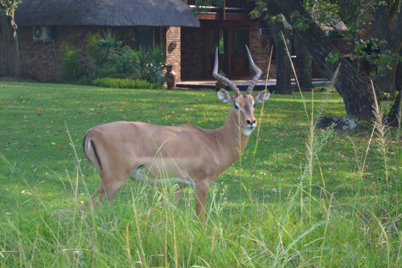Kruger Park Lodge - Golf Safari Sa Hazyview Dış mekan fotoğraf