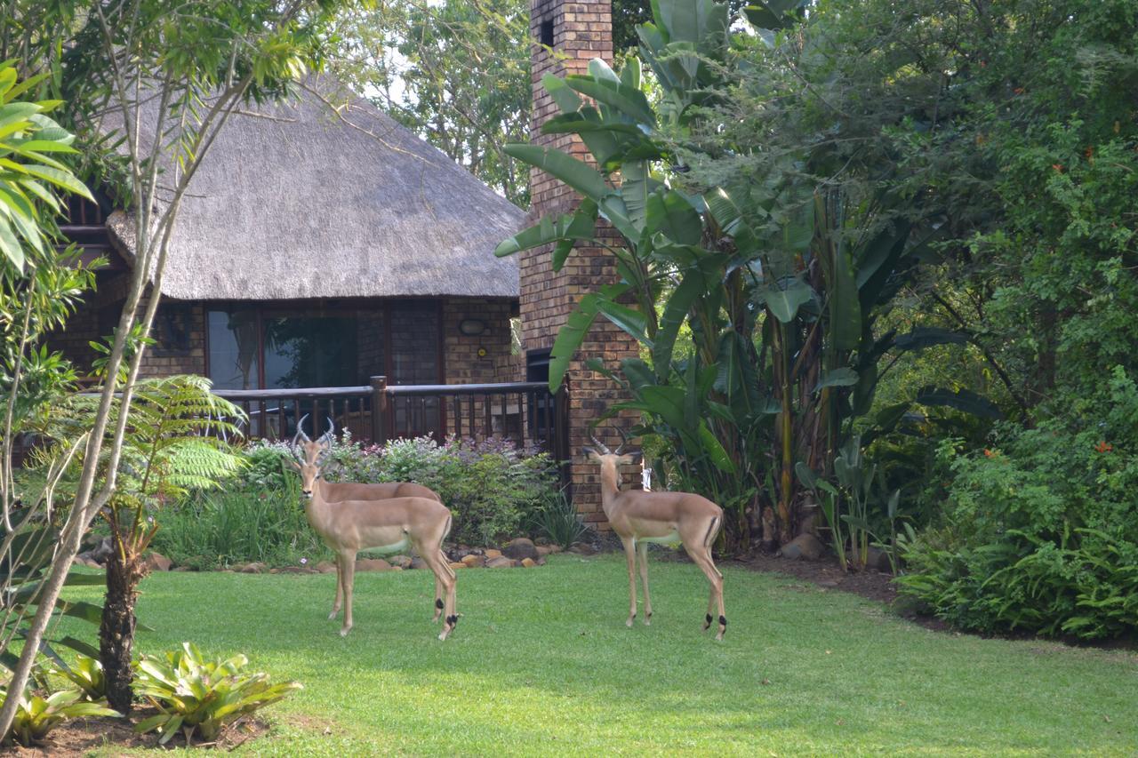 Kruger Park Lodge - Golf Safari Sa Hazyview Dış mekan fotoğraf