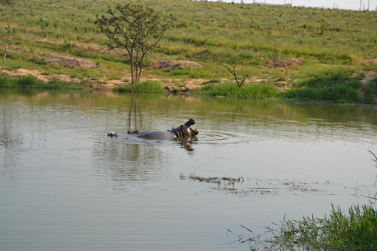 Kruger Park Lodge - Golf Safari Sa Hazyview Dış mekan fotoğraf