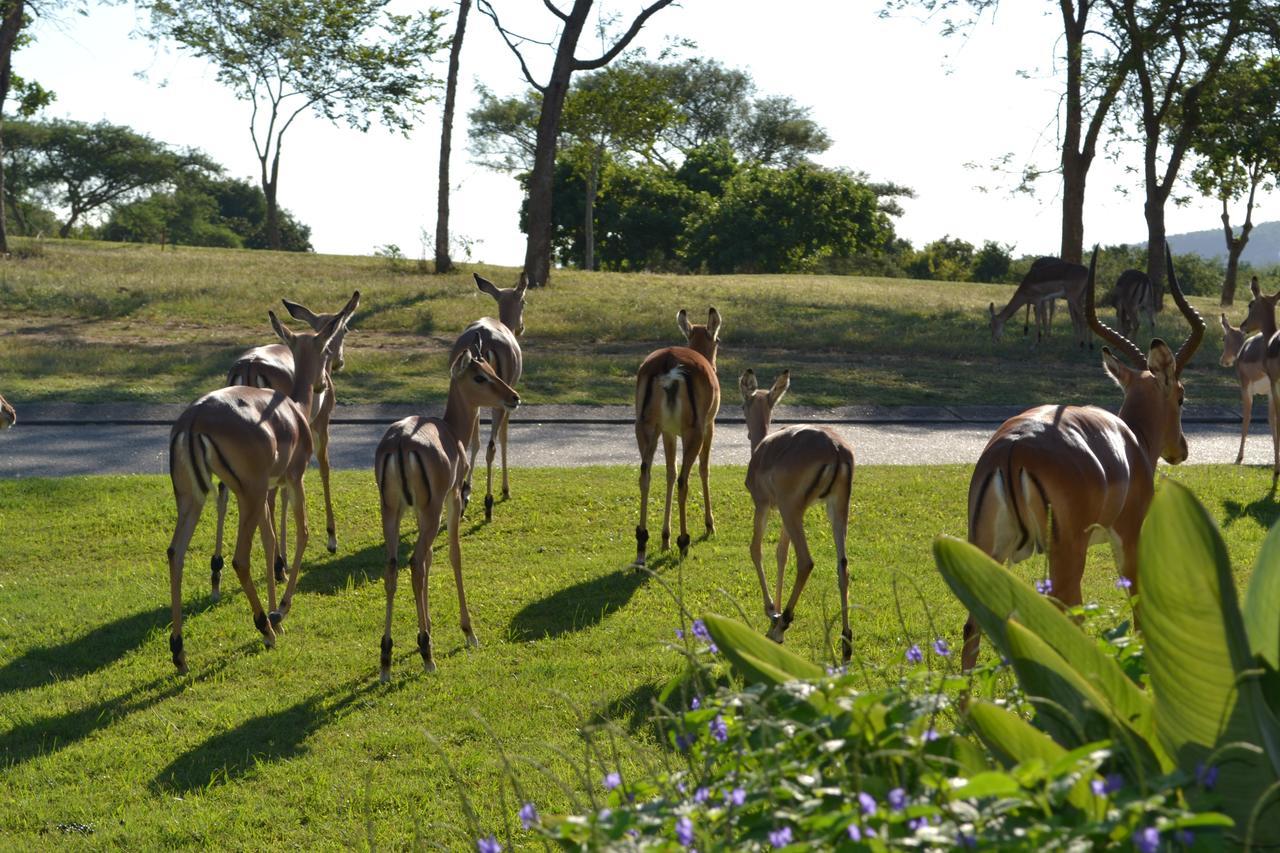 Kruger Park Lodge - Golf Safari Sa Hazyview Dış mekan fotoğraf