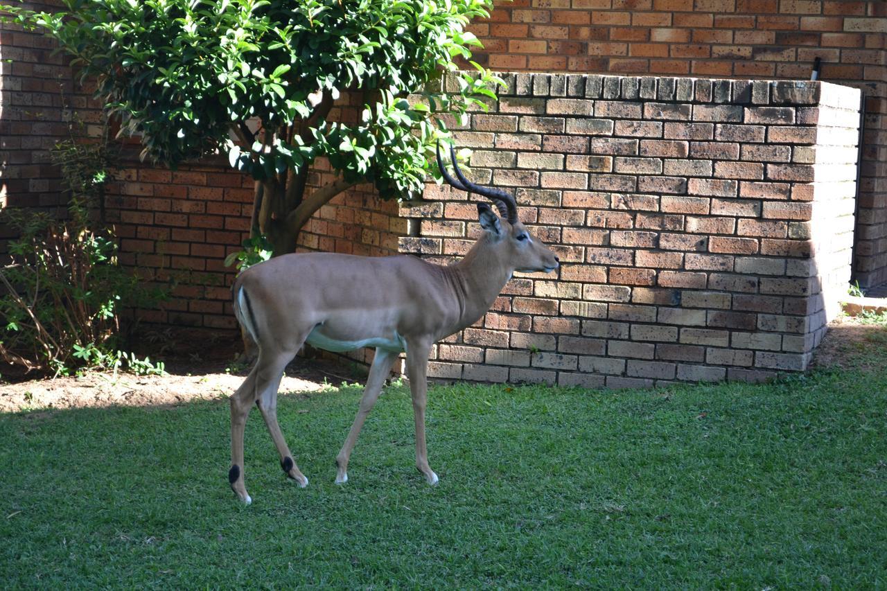Kruger Park Lodge - Golf Safari Sa Hazyview Dış mekan fotoğraf