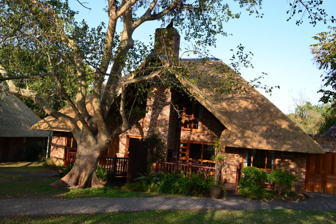 Kruger Park Lodge - Golf Safari Sa Hazyview Dış mekan fotoğraf