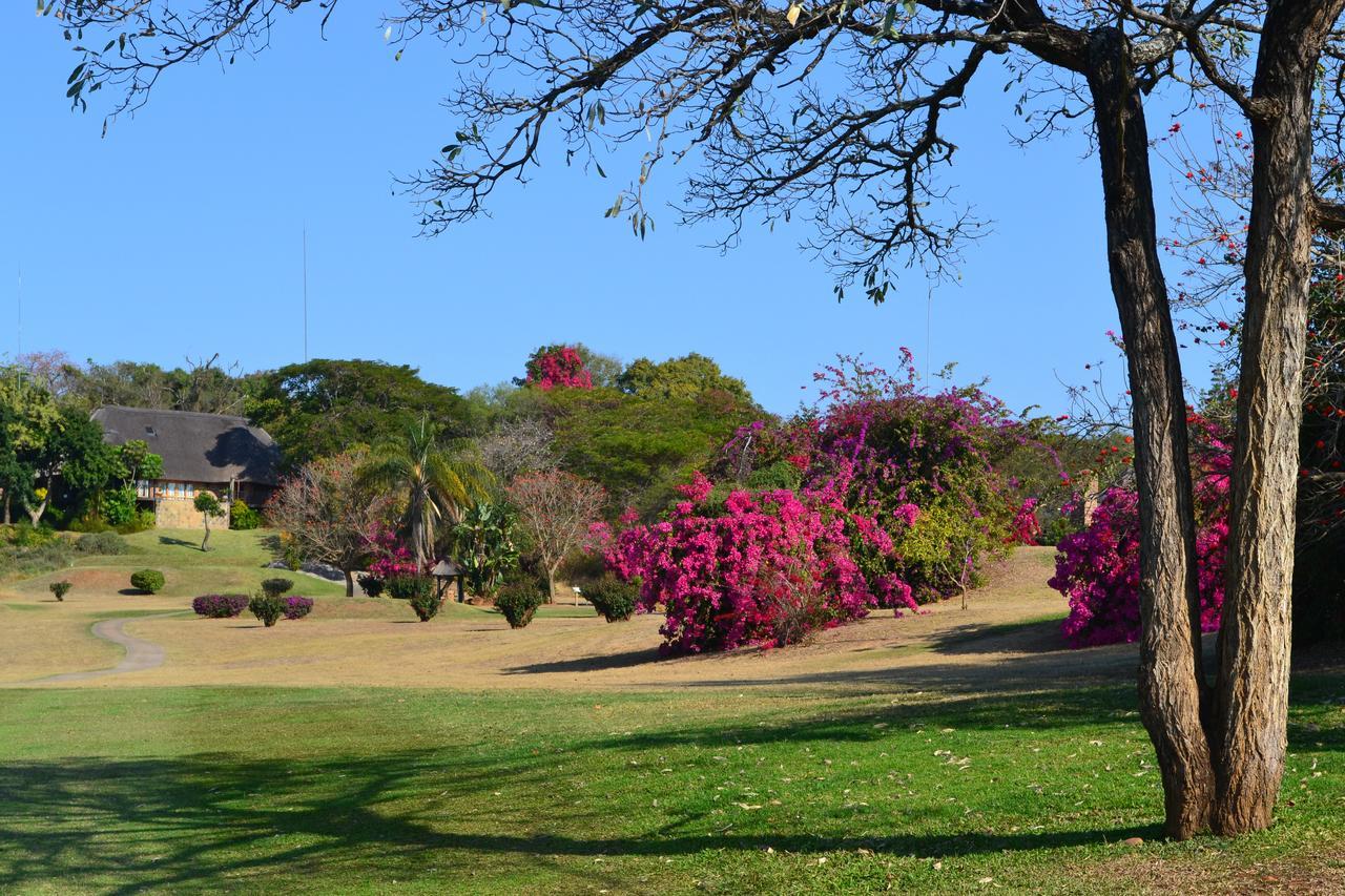 Kruger Park Lodge - Golf Safari Sa Hazyview Dış mekan fotoğraf